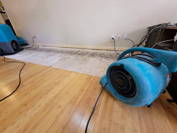 Professional Emergency Water Damage technician working in New Cumberland, PA